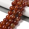 Natural Red Agate(Dyed & Heated) Beads Strands G-H087-A01-20MM-1