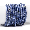 Natural Sodalite Beads Strands G-F631-A46-2