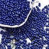 Baking Paint Glass Seed Beads SEED-L011-12A-11-1
