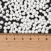 6/0 Opaque Baking Paint Glass Seed Beads SEED-M012-02A-37-4