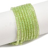 Natural Peridot Beads Strands G-K399-A01-01-1