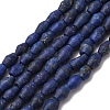 Natural Lapis Lazuli Beads Strands G-F808-J01-01-2