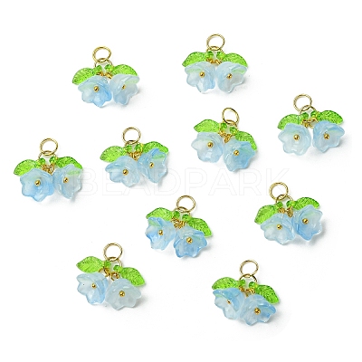 Glass Pendants PALLOY-YW00054-02-1