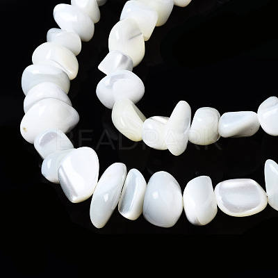 Natural Trochid Shell/Trochus Shell Beads Strands SSHEL-N034-78-A01-1