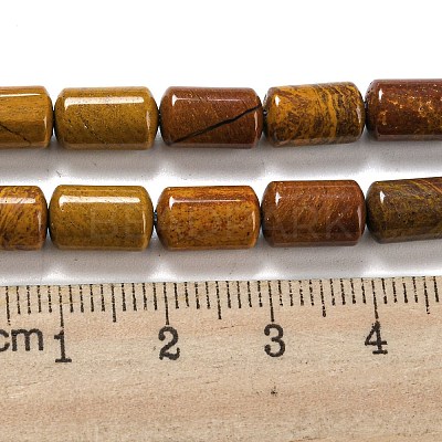 Natural Petrified Wood Beads Strands G-M420-E06-03-1