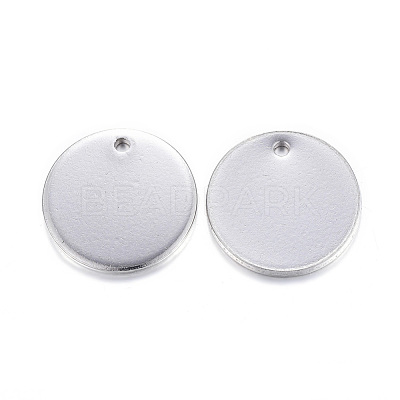 Tarnish Resistant 304 Stainless Steel Charms STAS-G122-23P-1