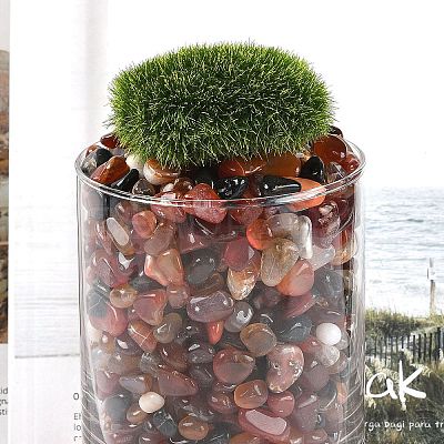 Dyed & Heated Natural Agate Beads X1-G-J402-04B-02-1