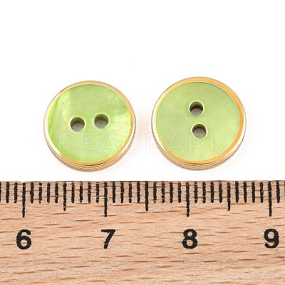 Golden Edge Naturl Black Lip Shell Button SH-CBA0ED6-01C-1