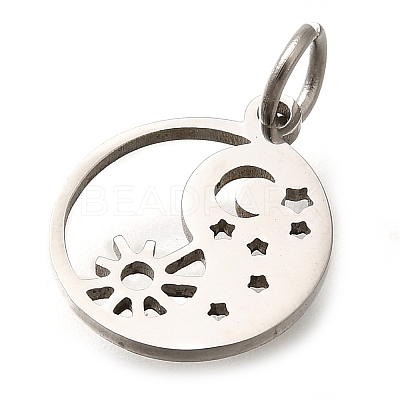 304 Stainless Steel Charms STAS-Z119-19P-1