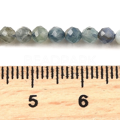 Natural Kyanite/Cyanite/Disthene Beads Strands G-G259-D05-3mm-1