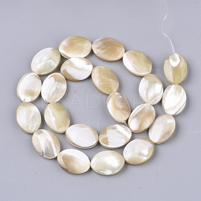 Natural Trochid Shell/Trochus Shell Beads Strands SSHEL-N032-05-1