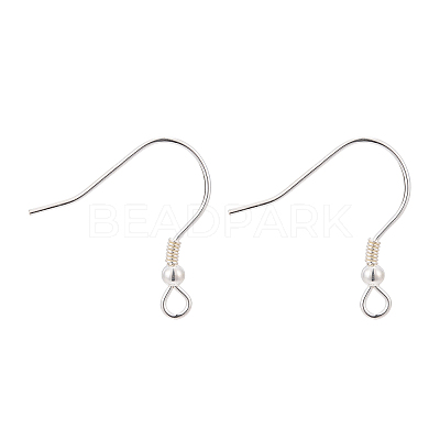 925 Sterling Silver Earring Hooks STER-T002-166S-1