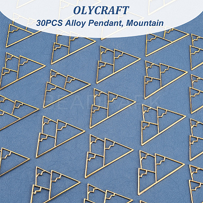 30PCS Alloy Pendant FIND-OC0003-19B-1