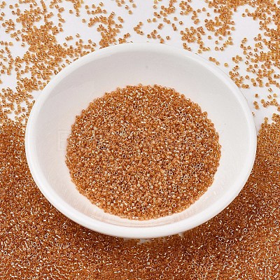 MIYUKI Delica Beads SEED-X0054-DB1702-1