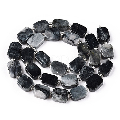 Natural Eagle Eye Stone Beads Strands G-T138-05-1