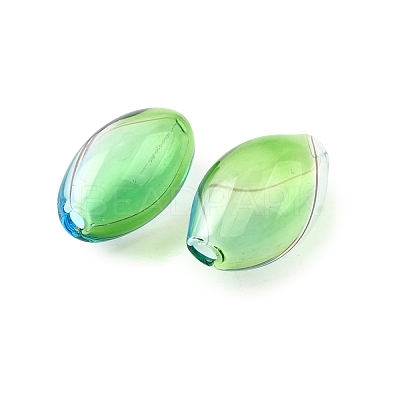 Transparent Handmade Blown Glass Globe Beads X-GLAA-T012-06-1