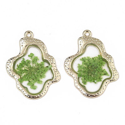 Epoxy Resin Pendants RESI-T045-028B-1