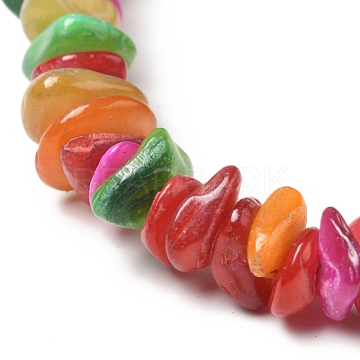 Natural Shell Beads Strands BSHE-G029-01A-1