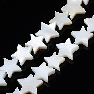 Natural Freshwater Shell Beads Strands SHEL-S278-01B-01-1