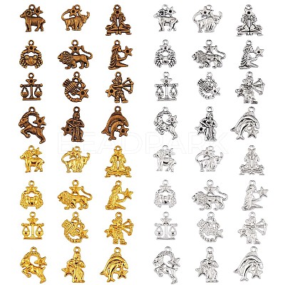 48Pcs Constellation Charm Pendant Twelve Zodiac Sign Pendants Alloy Charm for Jewelry Necklace Bracelet Earring Making Crafts JX340A-1