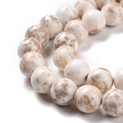 Natural Magnesite Beads Strands TURQ-P027-22-8mm-1