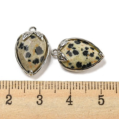 Natural Dalmatian Jasper Faceted Pendants G-M431-06P-05-1