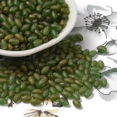Transparent Colours Glass Seed Beads X-SEED-F006-03A-04-1