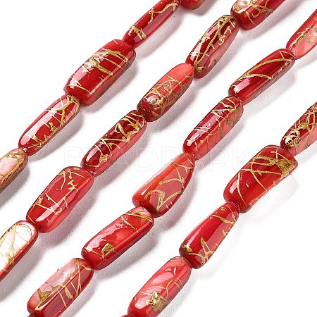 Natural Freshwater Shell Dyed Beads Strands SHEL-D082-18D-1