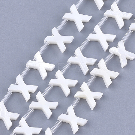 Natural Freshwater Shell Beads SHEL-T012-59X-1