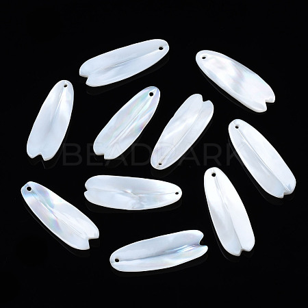 Natural Freshwater Shell Pendants SHEL-S278-046-1