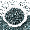 Picasso Baking Paint Glass Seed Beads SEED-N007-37G-2