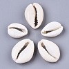 Natural Cowrie Shell Beads X-SSHEL-N034-34-2