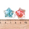 Transparent Resin & Natural Shell Beads RESI-B039-03B-3