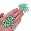 6/0 Imitation Jade Glass Seed Beads SEED-N004-006-15-5