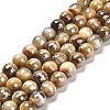 Electroplated Natural Tiger Eye Round Beads Strands G-L598-A04-03-1