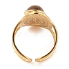 Oval Natural Tiger Eye Finger Rings RJEW-Z057-14G-01-3