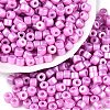 Baking Paint Pearlized Glass Seed Beads SEED-T008-03M-1