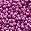 Baking Paint Glass Seed Beads SEED-L011-12A-12-3