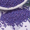 MIYUKI Delica Beads Small X-SEED-J020-DBS0880-1