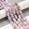 Natural Kunzite Beads Strands G-N327-06-36-2