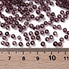 Glass Seed Beads X2-SEED-A004-3mm-16-3