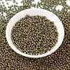 MIYUKI Round Rocailles Beads SEED-G008-RR0307-2