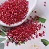 MIYUKI Delica Beads SEED-JP0008-DB0162-1