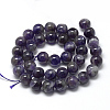 Natural Amethyst Beads Strands G-R446-10mm-20-2