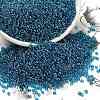 12/0 FGB Grade A Round Glass Seed Beads X-SEED-Q011-F521-1