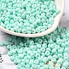 Baking Paint Glass Seed Beads SEED-B001-02A-14-1