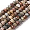 Natural Alashan Agate Beads Strands G-B179-A03-6x8mm-2