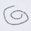 Natural Labradorite Beads Strands G-E475-01A-2