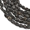 Natural Fluorescent Syenite Rock(Glow under UV Light) Beads Strands GG-C286-A26-3
