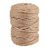 100M Jute Twisted Cord OCOR-WH0078-470A-1